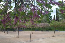 602 granada alhambra